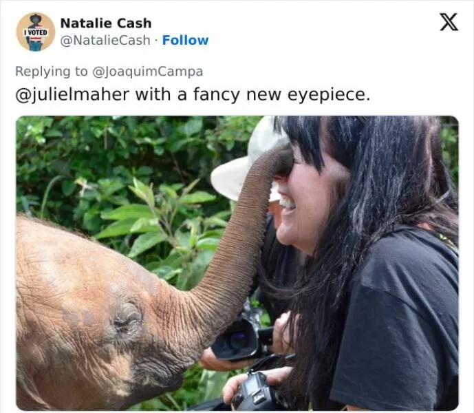 When nature lends a helping paw to photographers
