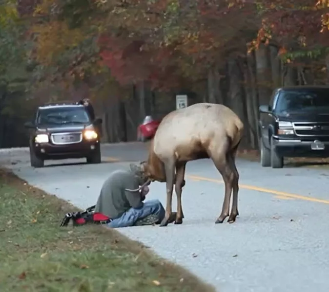 When nature lends a helping paw to photographers - #27 