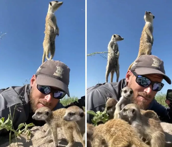 When nature lends a helping paw to photographers - #3 