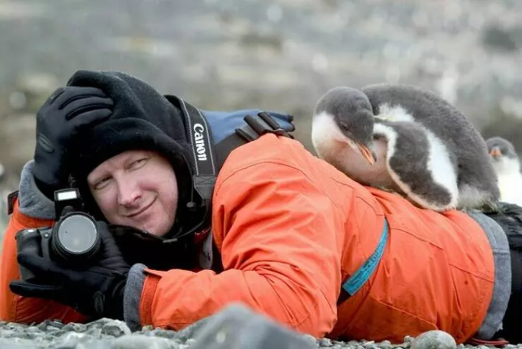 When nature lends a helping paw to photographers - #5 