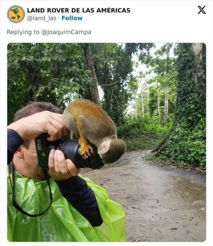 When nature lends a helping paw to photographers - #6 