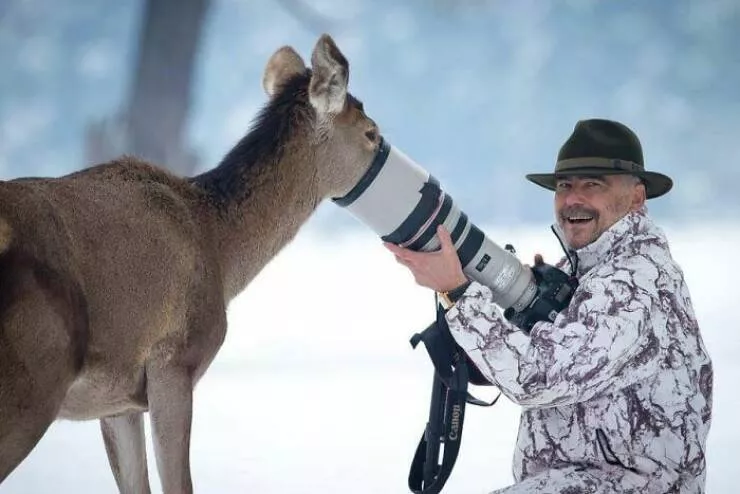 When nature lends a helping paw to photographers - #8 