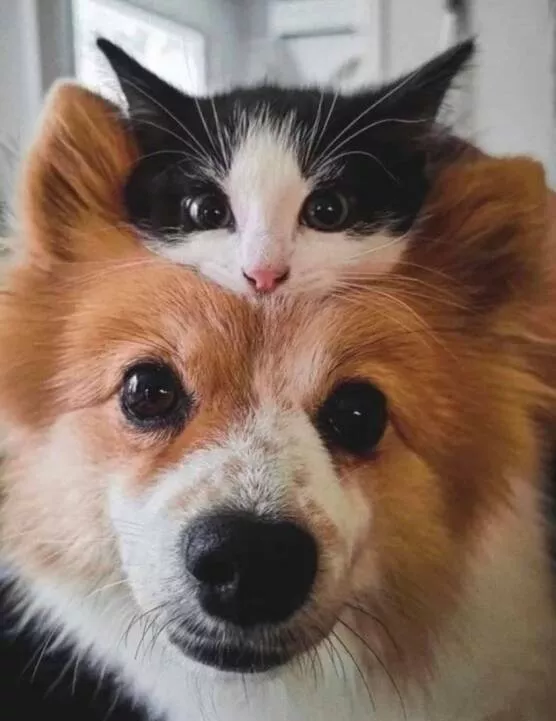 Picdump 1045 - #1 