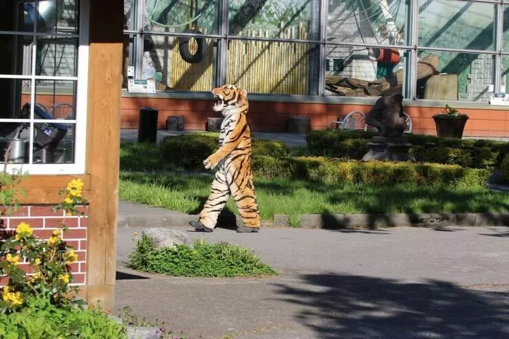 Picdump 1045 - #26 