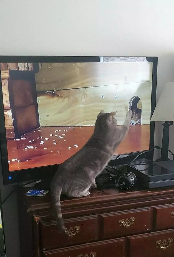 Picdump 1045 - #33 