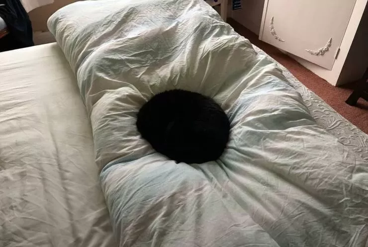 Picdump 1045 - #48 