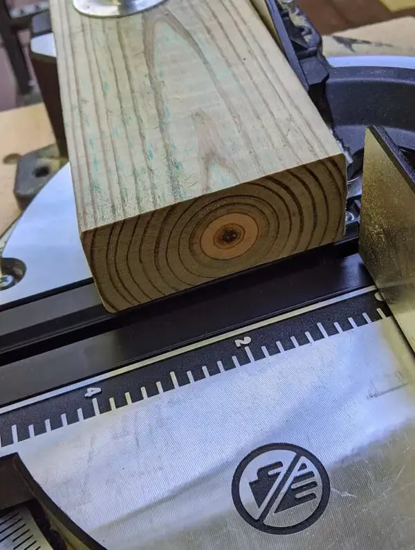 Pictures that speak beyond looks - #13 Getting a 24-Inch Core from the Weakest Part of a Tree