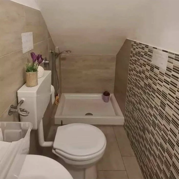 Renovation gone wild expect the unexpected - #45 