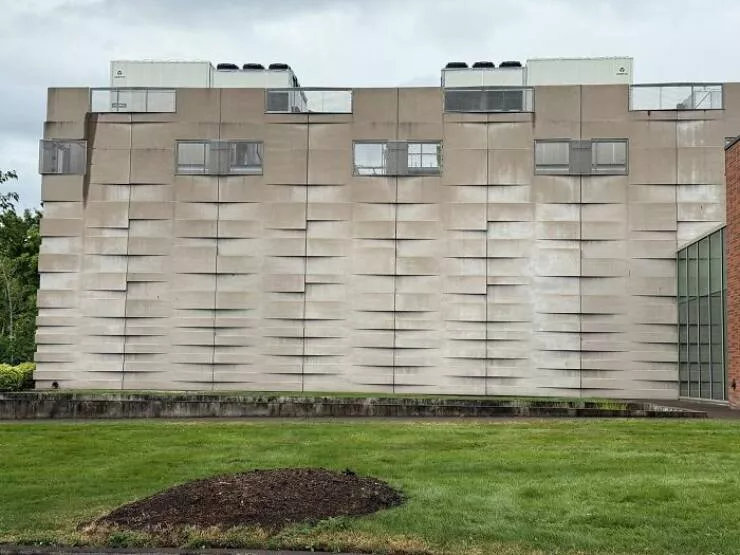 Renovation gone wild expect the unexpected - #5 