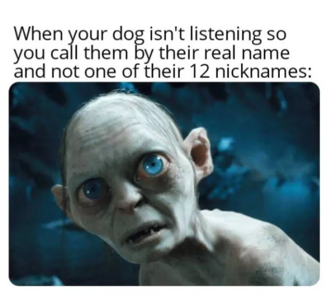 Dank memes ahead - #17 