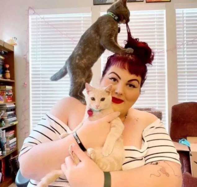 Hilarious cat moments captured on camera - #23 