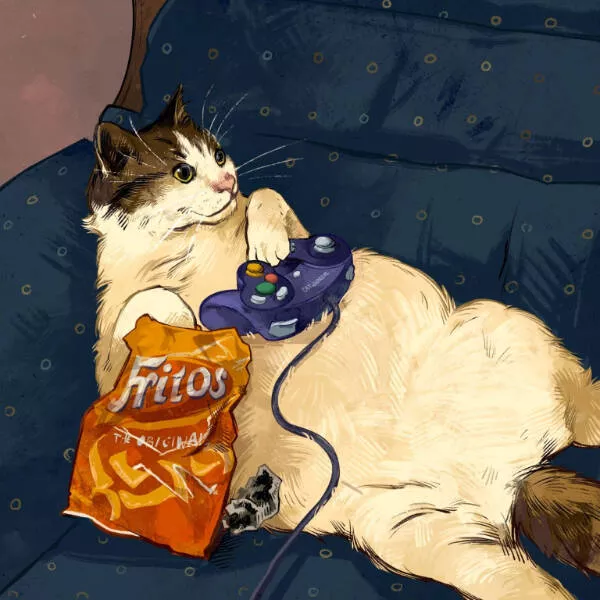 Moments de chats parfaitement droles captures - #29 