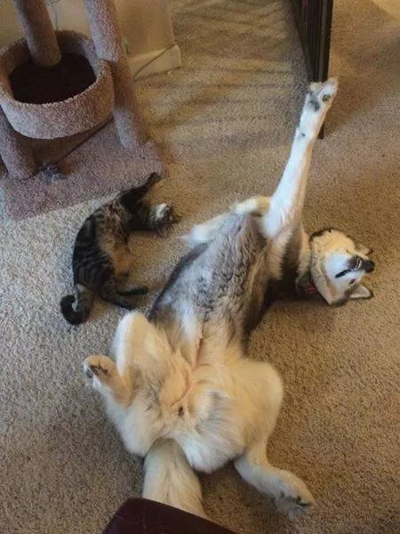 Picdump 128 - #22 