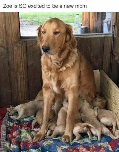 Picdump 128 - #4 