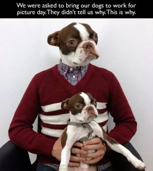 Picdump 128 - #58 