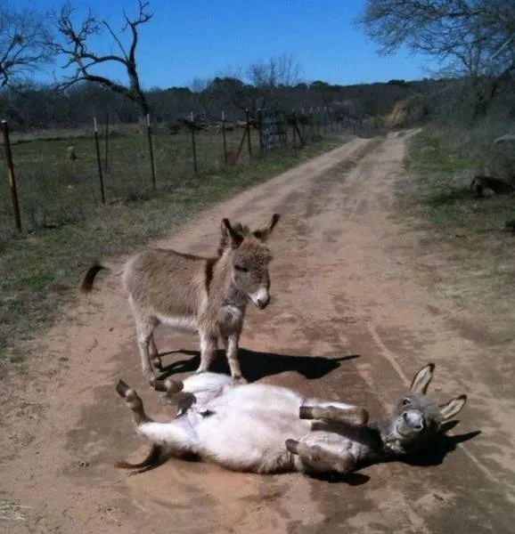 Picdump 128 - #62 