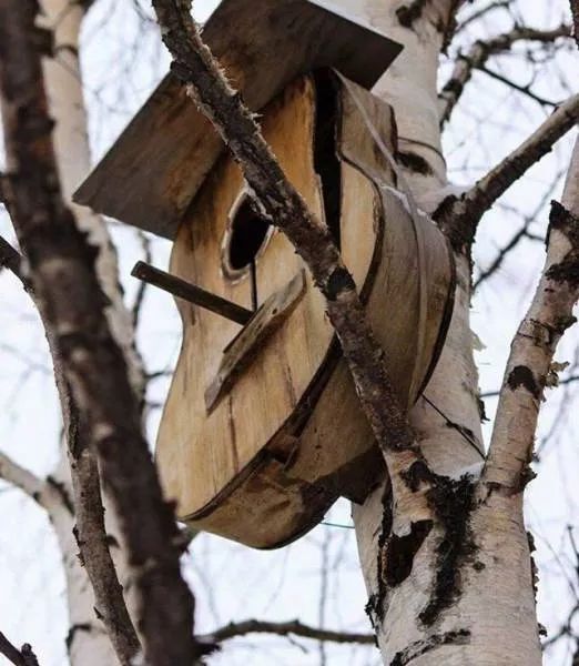 Picdump 128 - #68 