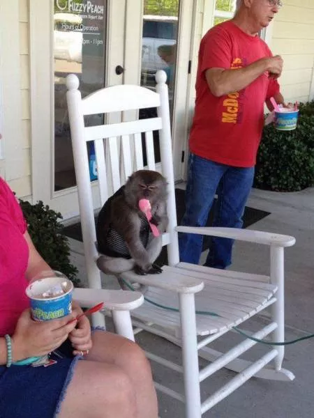 Picdump 128 - #72 