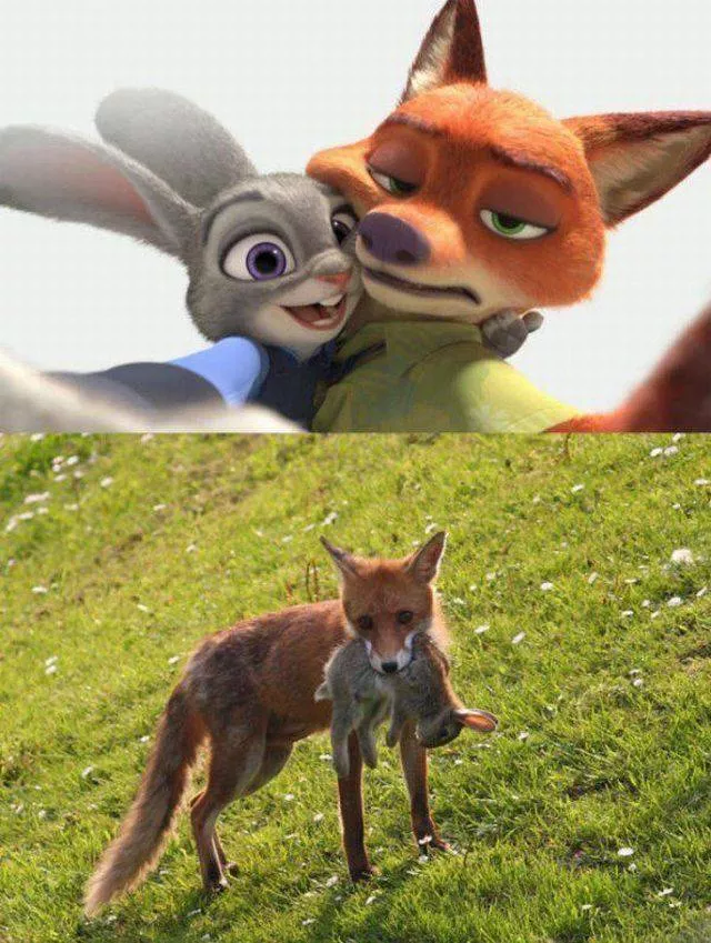 Picdump 128 - #77 