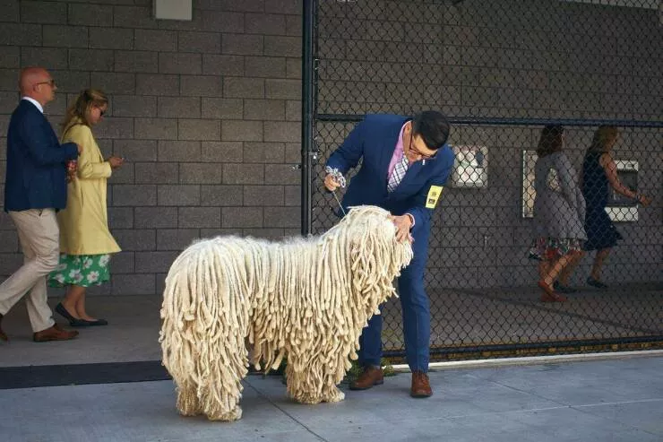 Picdump 1046 - #27 