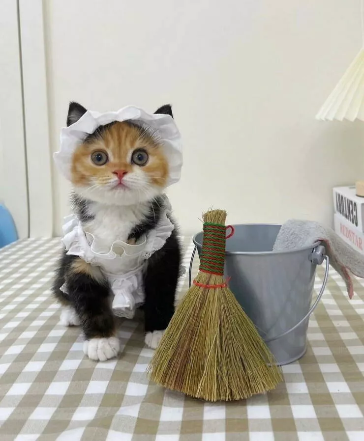 Picdump 1046 - #41 