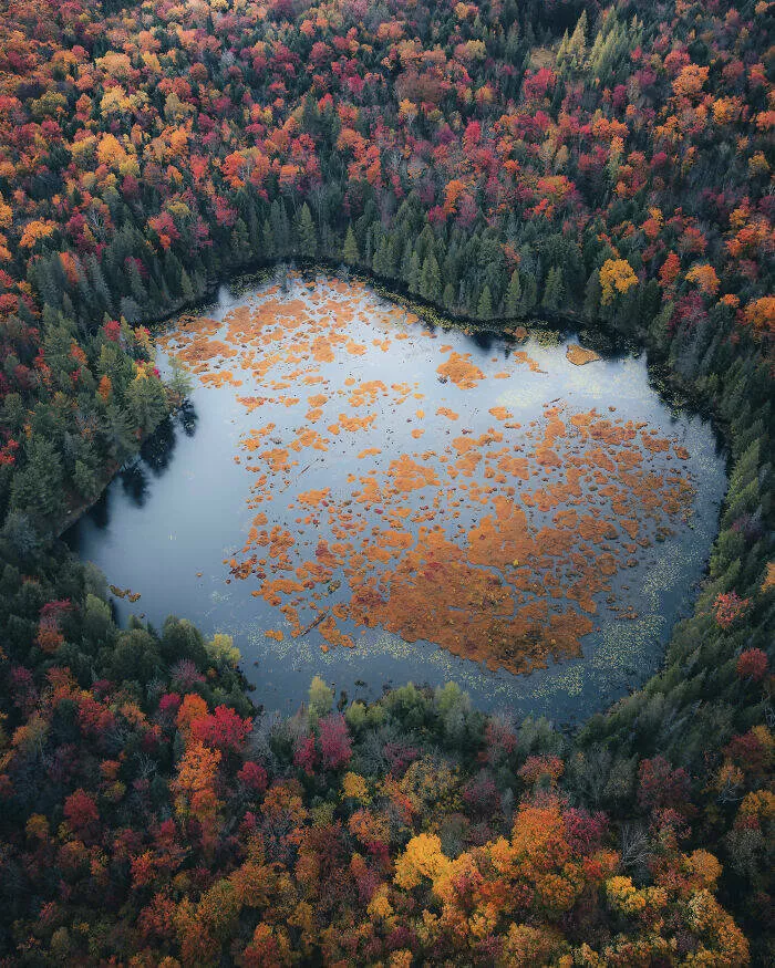 Award winning aerial shots of 2025 - #20 Rakesh Baro from India displays a colorful natural palette Award winning aerial shots of 2025 - #20 Rakesh Baro from India displays a colorful natural palette