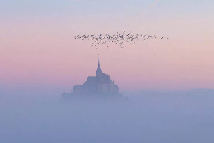 Award winning aerial shots of 2025 - #21 Guichard Laetitia from France paints a serene pink-hued landscape