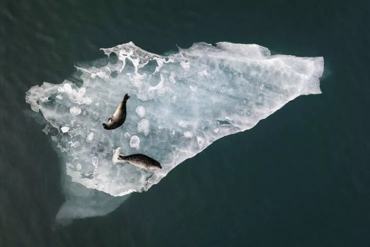Award winning aerial shots of 2025 - #36 Fabien Guittard from France offers an aerial view above the ice