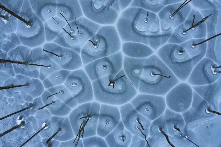 Award winning aerial shots of 2025 - #43 Gheorghe Popa from Romania visualizes complex natural networks Award winning aerial shots of 2025 - #43 Gheorghe Popa from Romania visualizes complex natural networks