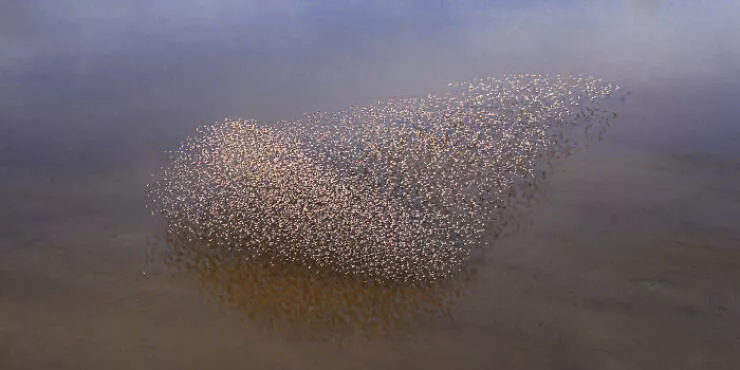 Award winning aerial shots of 2025 - #45 David Mierowsky from Australia depicts nature’s rise Award winning aerial shots of 2025 - #45 David Mierowsky from Australia depicts nature’s rise