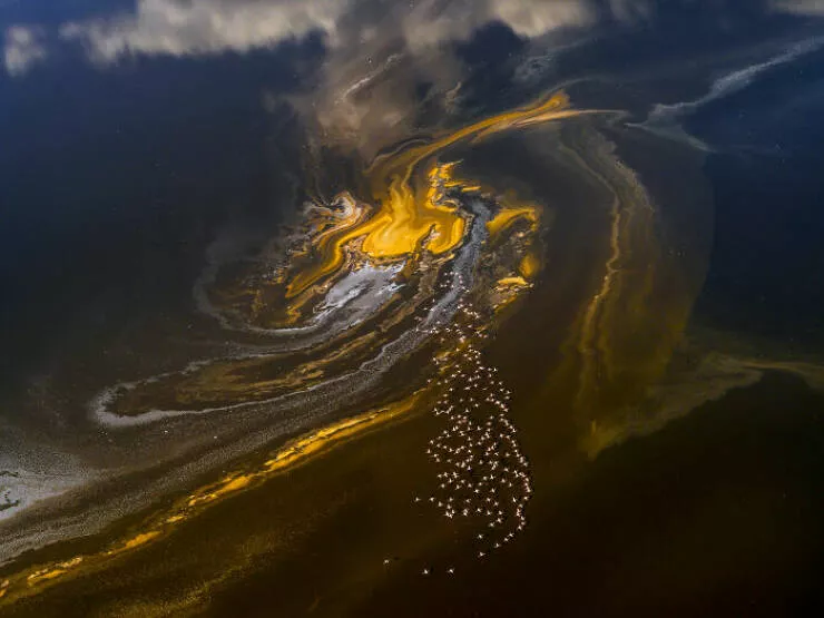 Award winning aerial shots of 2025 - #47 Andro Loria from the UK dreams in African landscapes Award winning aerial shots of 2025 - #47 Andro Loria from the UK dreams in African landscapes