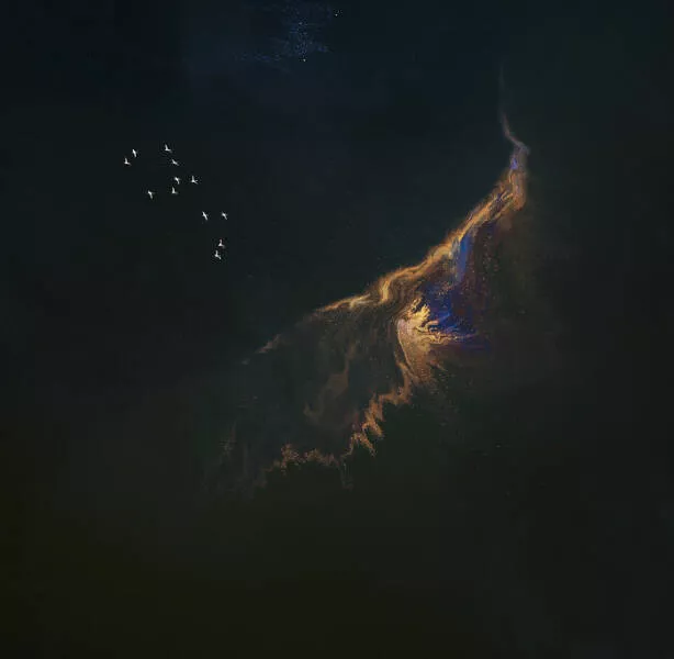 Award winning aerial shots of 2025 - #8 Xiaohui Li from China captures flamingos gathered at a peaceful lake Award winning aerial shots of 2025 - #8 Xiaohui Li from China captures flamingos gathered at a peaceful lake