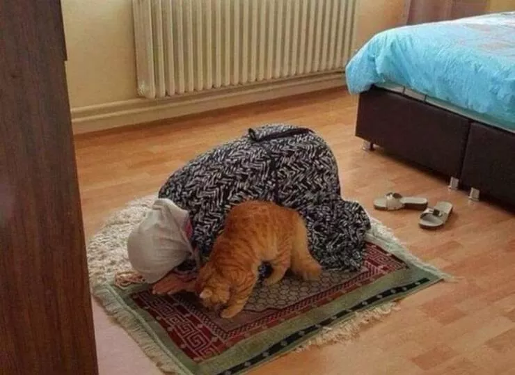 Picdump 1047 - #13 
