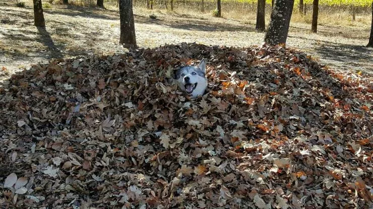 Picdump 1047 - #14 