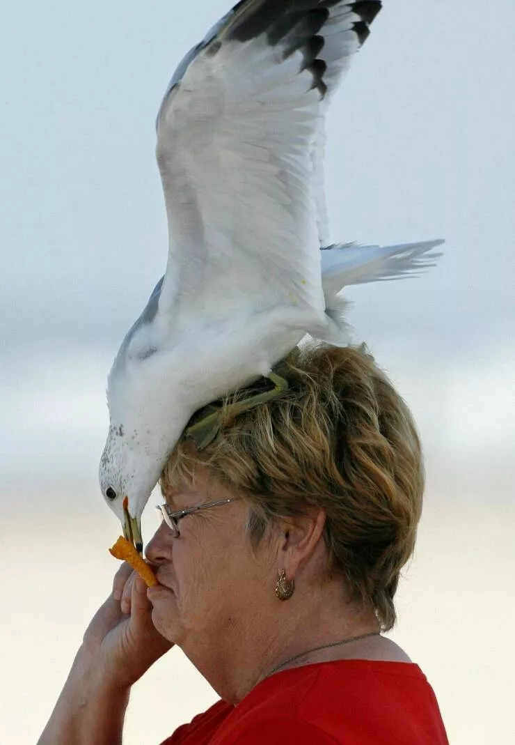Picdump 1047 - #17 