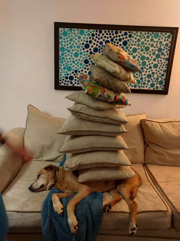 Picdump 1047 - #20 