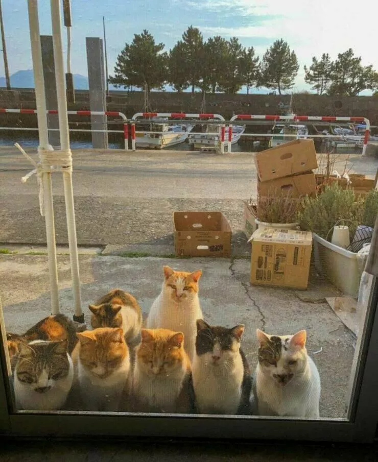 Picdump 1047 - #39 