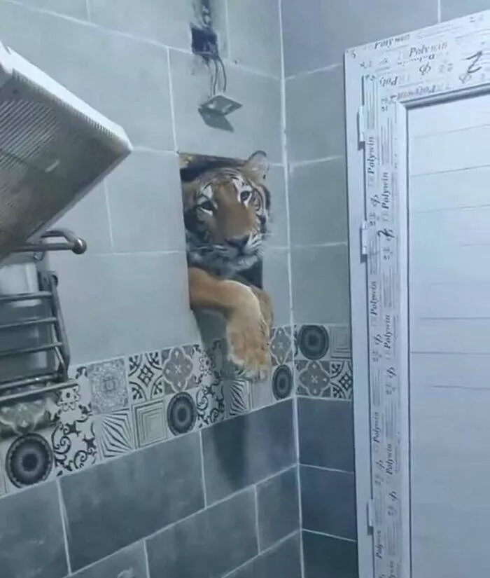 Silly animals being themselves - #10 