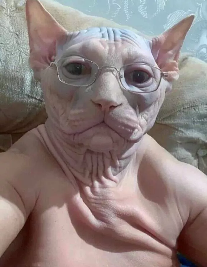 Silly animals being themselves - #16 