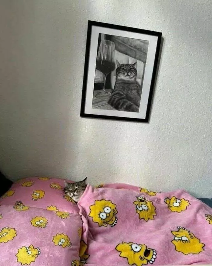 Silly animals being themselves - #22 