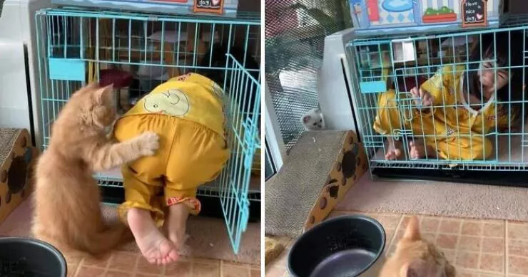 Silly animals being themselves - #4 