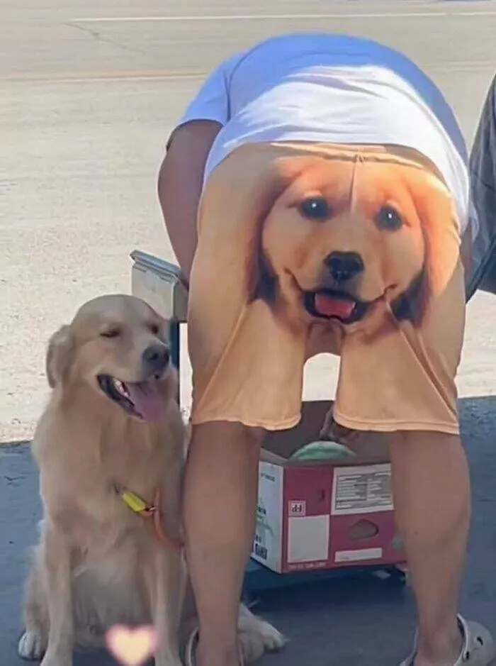 Silly animals being themselves - #8 
