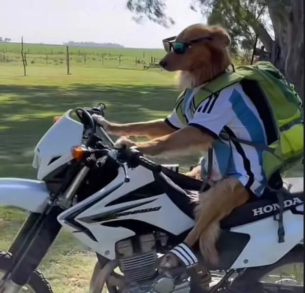Picdump 1048 - #24 