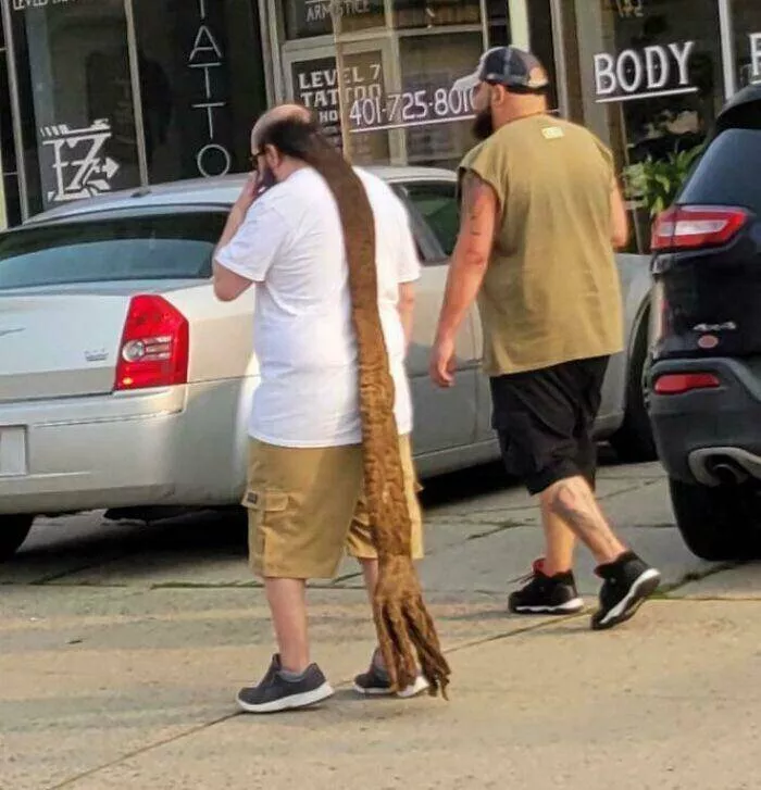 Picdump 1048 - #3 