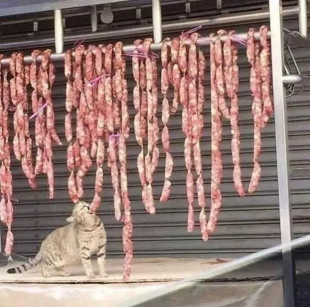 Picdump 1048 - #46 