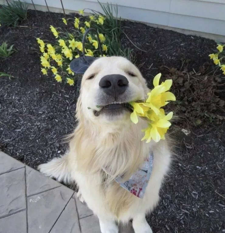 Picdump 1049 - #39 