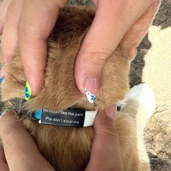 Picdump 1049 - #44 