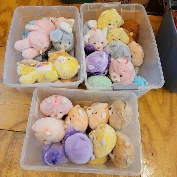 Unexpected treasures from thrift shops - #18 Major Care Bears Collection Found in One Haul