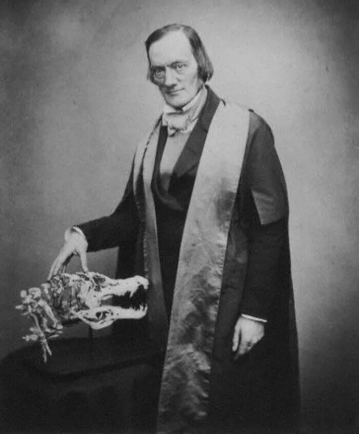 Anecdotes dingues et geniales sur les dinosaures - #10 Le Terme “Dinosaure” Est Apparu En 1841