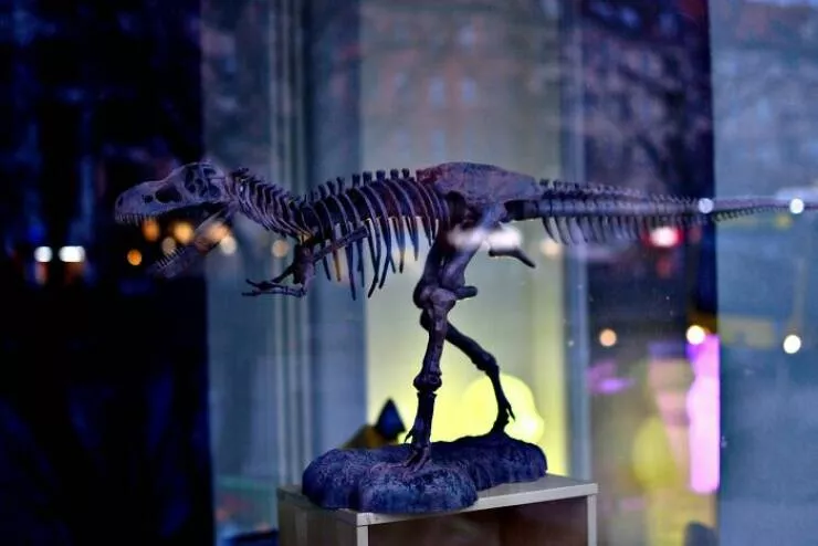 Wildly cool dinosaur facts you didnt know - #13 The Mesozoic Era Was Divided into Three Dinosaur Ages